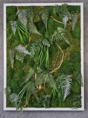 20250504_182335 Obraz z mchu mieszanego EverGreen - Żywa Elegancja Natury