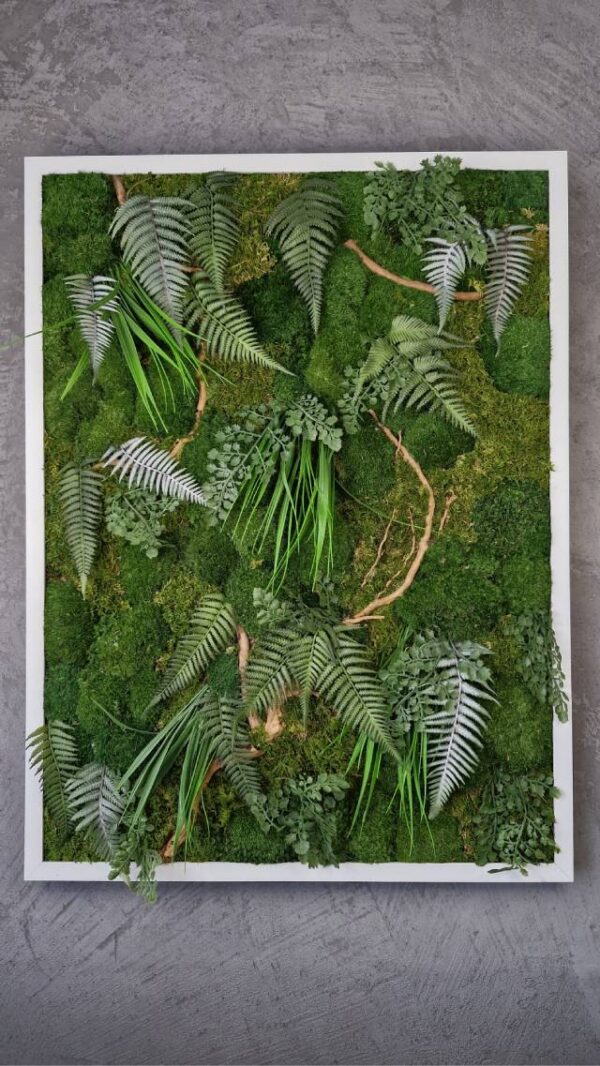 20250504_182335 Obraz z mchu mieszanego EverGreen - Żywa Elegancja Natury