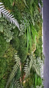 Obraz z mchu mieszanego EverGreen - Żywa Elegancja Natury 3 20250504 182705