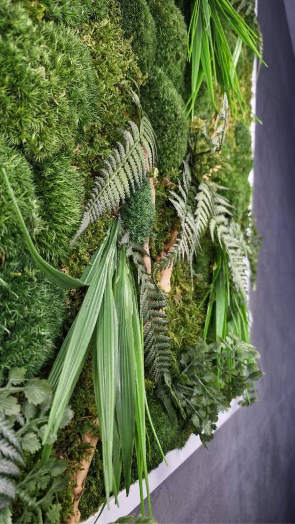 20250504_182756 Obraz z mchu mieszanego EverGreen - Żywa Elegancja Natury