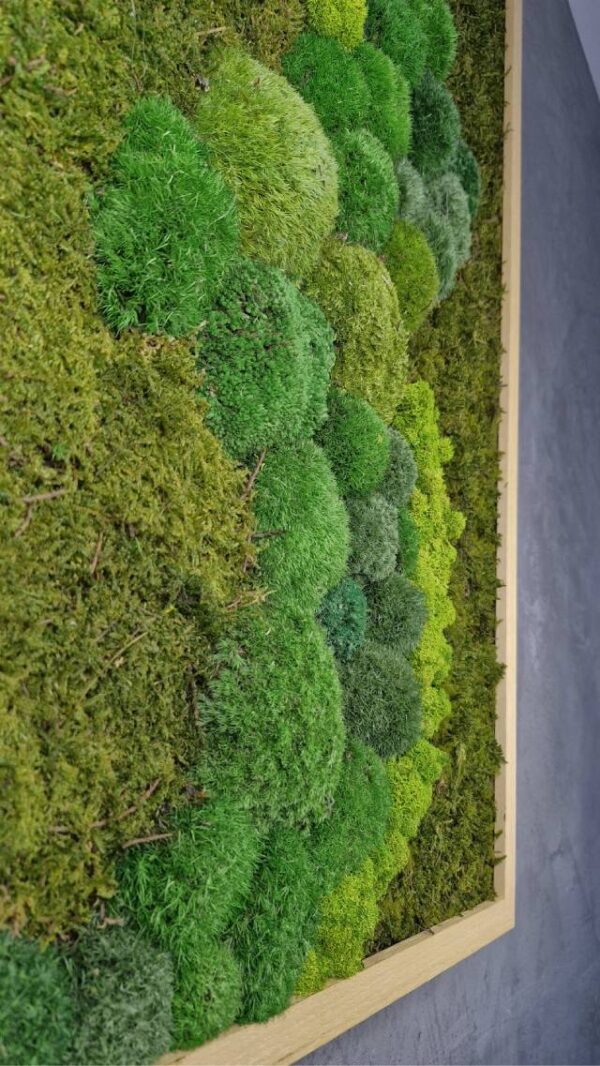 Obraz z mchu mieszanego Verdant River - Zielona rzeka