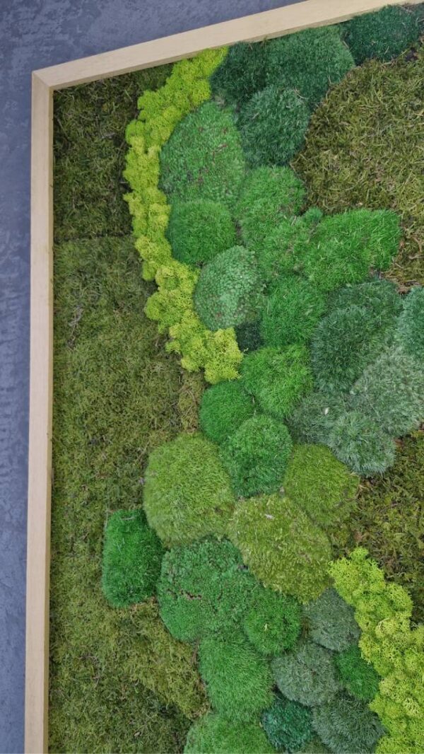 Obraz z mchu mieszanego Verdant River - Zielona rzeka