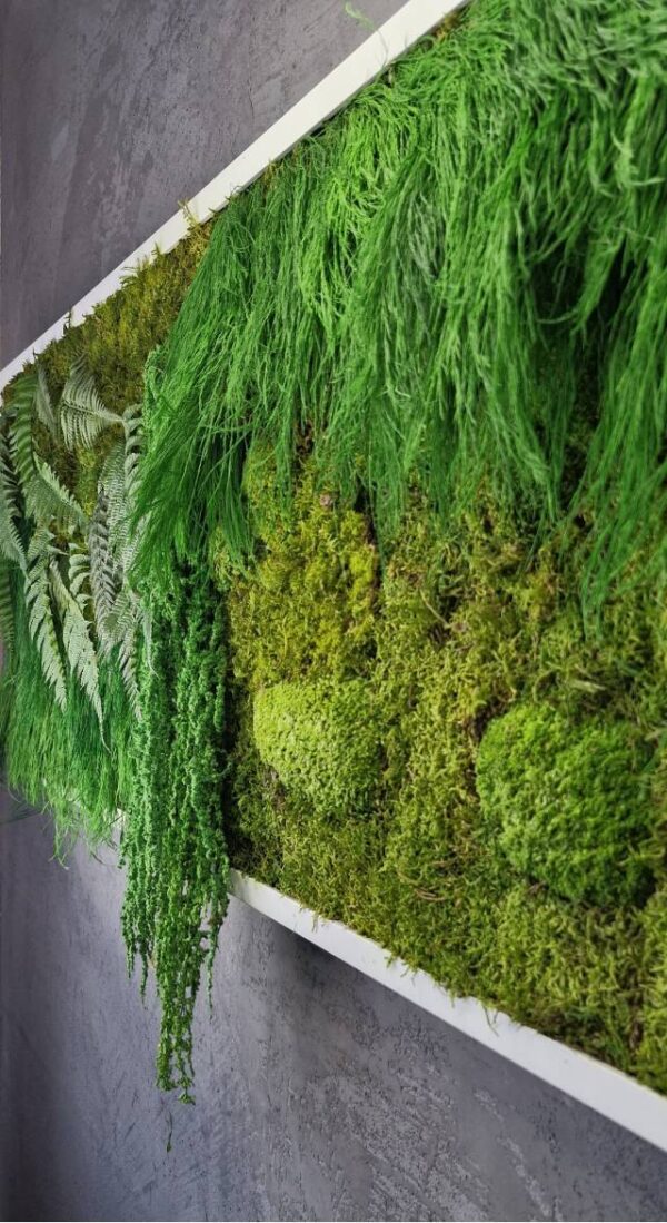 Obraz z mchu płaskiego Green Horizon - Zielony Horyzont