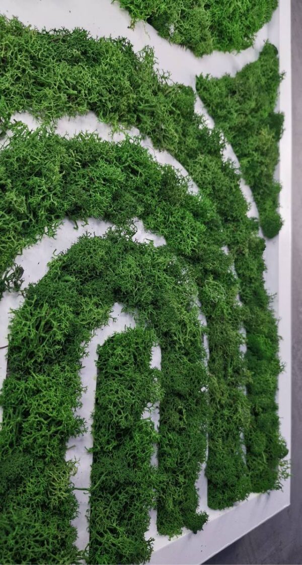 20250504_191129 Obraz z mchu chrobotka Geometric Style - Geometryczny Styl