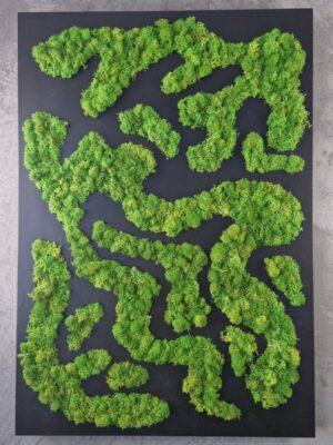 20250504_192957 Obraz z mchu chrobotka Nature Rivers - Rzeki Natury