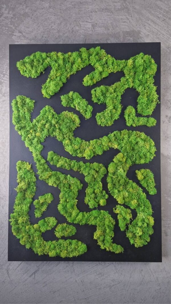 20250504_192957 Obraz z mchu chrobotka Nature Rivers - Rzeki Natury