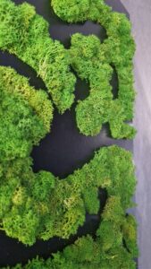 Obraz z mchu chrobotka Nature Rivers - Rzeki Natury 3 20250504 193118