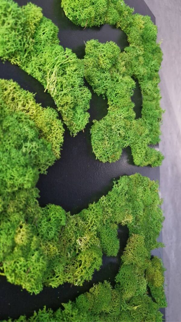 20250504_193118 Obraz z mchu chrobotka Nature Rivers - Rzeki Natury