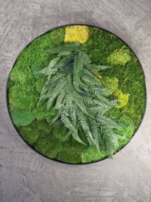 20250504_200357 Obraz z mchu poduszkowego MossWhisper – Zielona Oaza