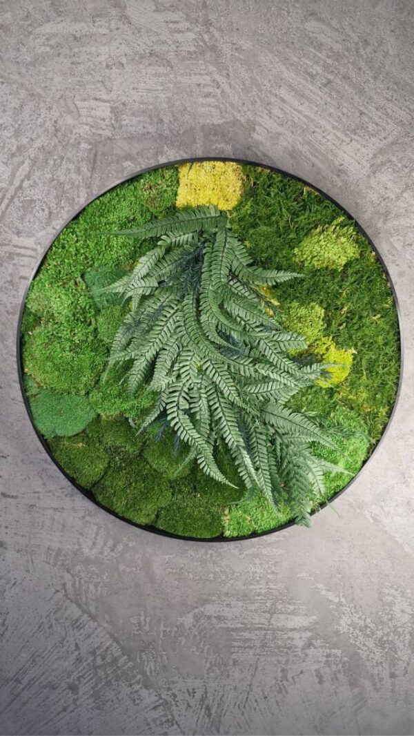 20250504_200357 Obraz z mchu poduszkowego MossWhisper – Zielona Oaza