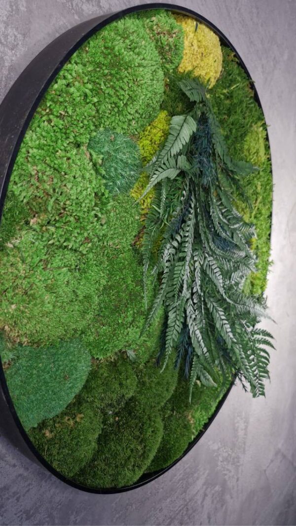 20250504_200438 Obraz z mchu poduszkowego MossWhisper – Zielona Oaza