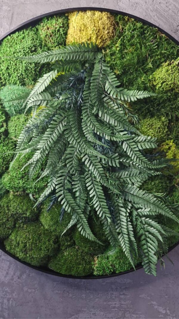 20250504_200540 Obraz z mchu poduszkowego MossWhisper – Zielona Oaza