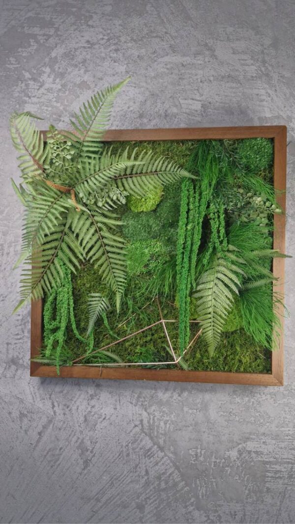 Obraz z mchu mieszanego Jungle Vibe - Klimat Dżungli