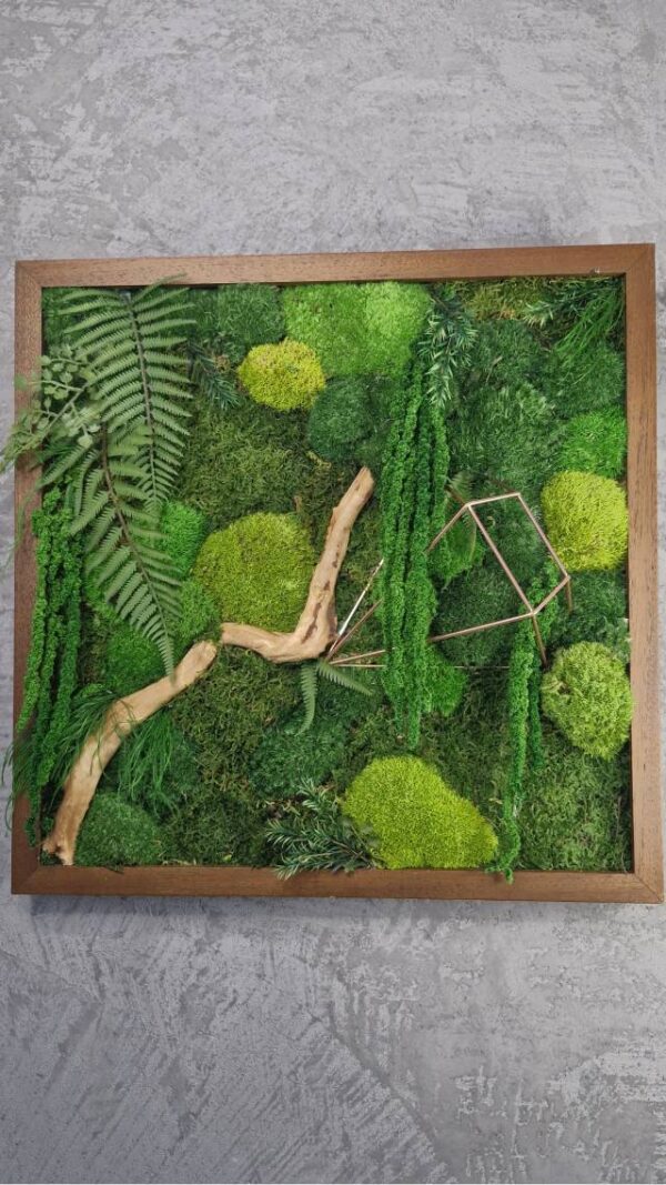 Obraz z mchu mieszanego Jungle Vibe - Klimat Dżungli