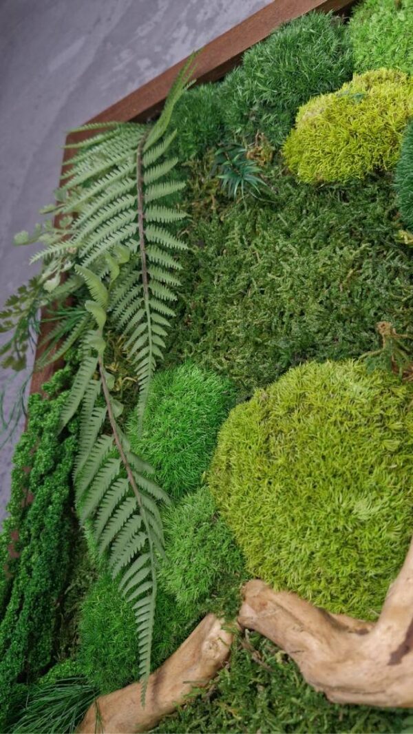 Obraz z mchu mieszanego Jungle Vibe - Klimat Dżungli