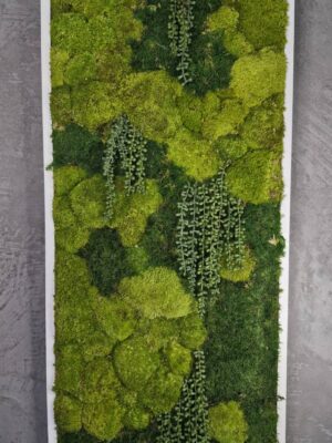 20250504_202134 Obraz z mchu mieszanego Gravity – Wodospad Zieleni