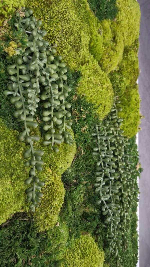 20250504_202141 Obraz z mchu mieszanego Gravity – Wodospad Zieleni