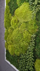 Obraz z mchu mieszanego Gravity – Wodospad Zieleni 3 20250504 202153