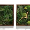 Obraz z mchu mieszanego Jungle Vibe - Klimat Dżungli