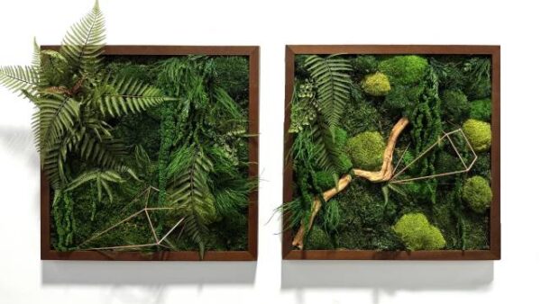 Obraz z mchu mieszanego Jungle Vibe - Klimat Dżungli