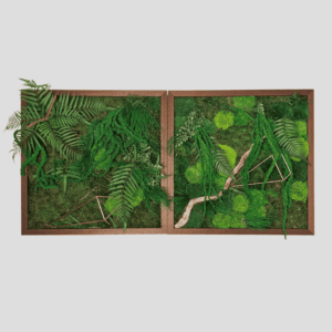 Przewodnik po RODZAJACH MCHU 2 Obraz z mchu mieszanego Jungle Vibe