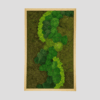Obraz z mchu mieszanego Verdant River.