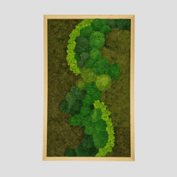Obraz z mchu mieszanego Verdant River.