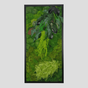 Obraz z mchu poduszkowego Leafy Expression