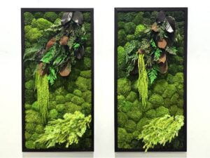 Obraz z mchu poduszkowego Leafy Expression – Kaskada Kolorów 2 d801b987bf5e558fd927f65d201439b2