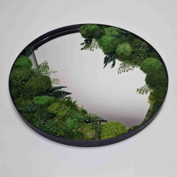 Lustro z mchem stabilizowanym