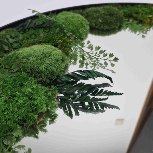 Lustro z mchem stabilizowanym