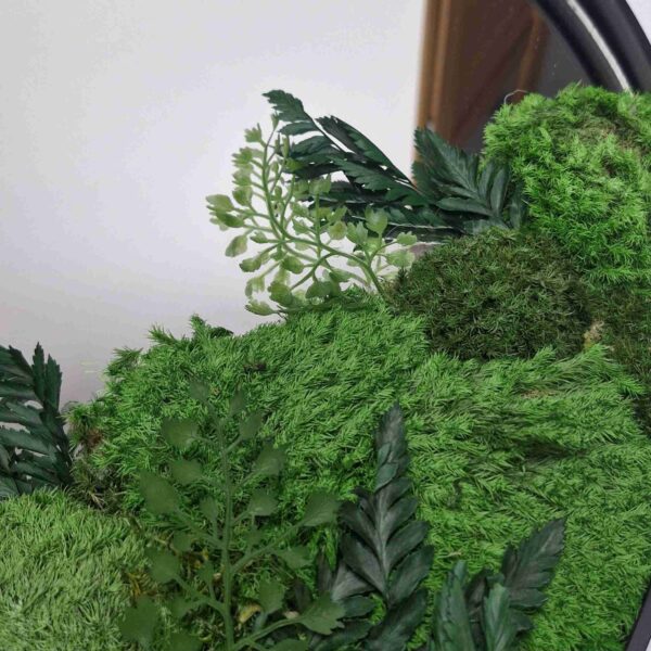 Lustro z mchem stabilizowanym