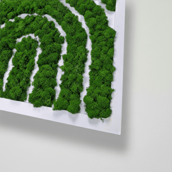 Obraz z mchu chrobotka Geometric Style - Geometryczny Styl