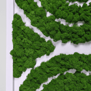 Obraz z mchu chrobotka Geometric Style geometryczny