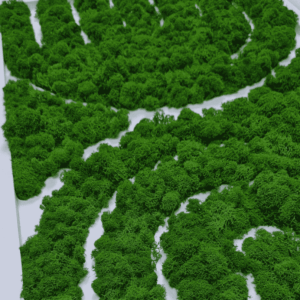 Obraz z mchu chrobotka Geometric Style piekny