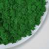 Obraz modułowy z mchu chrobotka – Vert Circle S