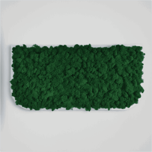 Obraz z mchu chrobotka Vert-Large