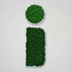 Obraz modułowy z mchu chrobotka – Vert Circle S