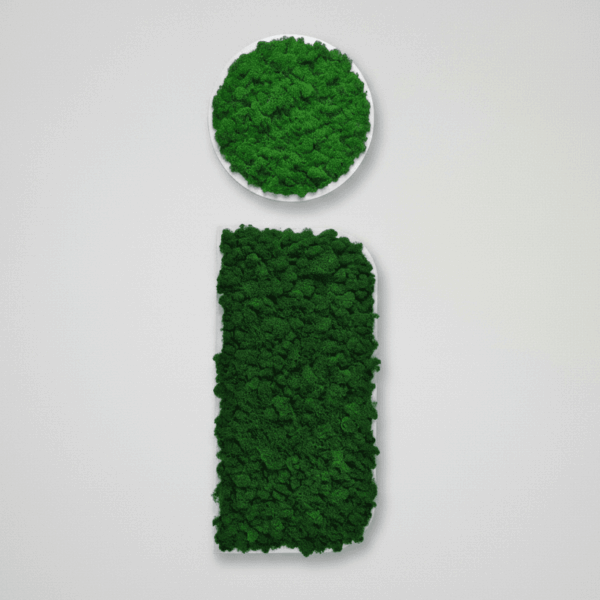 Obraz modułowy z mchu chrobotka – Vert Circle S