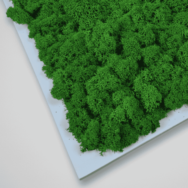 Obraz modułowy z mchu chrobotka – Vert Light