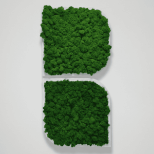 Obraz modułowy z mchu chrobotka – Vert Light
