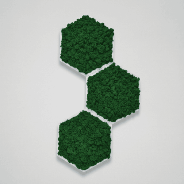 Obraz_z_mchu_chrobotka_honeycomb_moduły_Plastry miodu