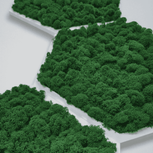 Obraz z mchu chrobotka plaster miodu honeycomb przyblizenie