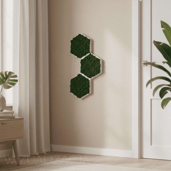 Obraz z mchu chrobotka Modułowy HoneyComb Plaster miodu