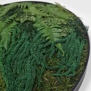 Okrągły obraz z mchu płaskiego.