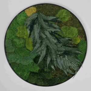 Subtelny okrągły obraz z mchu poduszkowego i roślin.