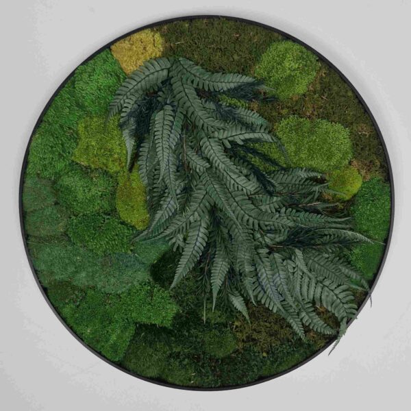 Subtelny okrągły obraz z mchu poduszkowego i roślin.