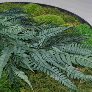 Subtelny okrągły obraz z mchu poduszkowego i roślin.