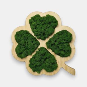 Drewniana koniczynka 2w1 z mchem chrobotkiem