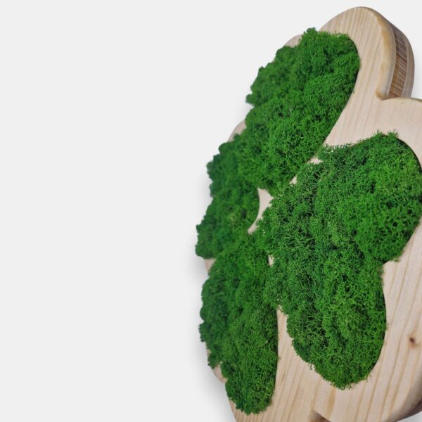 Drewniana koniczynka 2w1 z mchem chrobotkiem